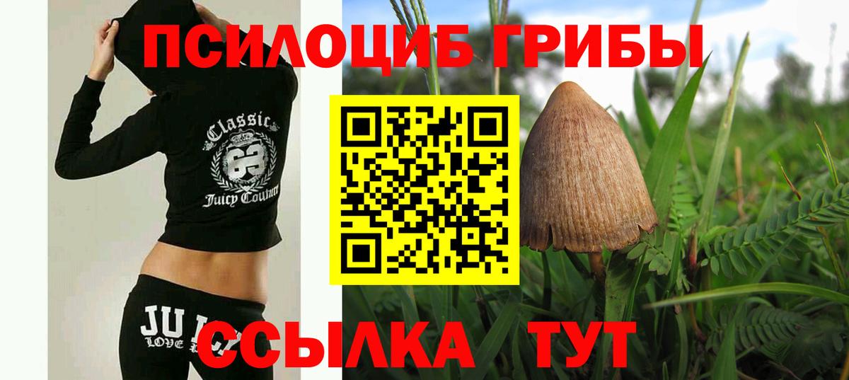 Псилоцибиновые грибы Magic Shrooms Шадринск
