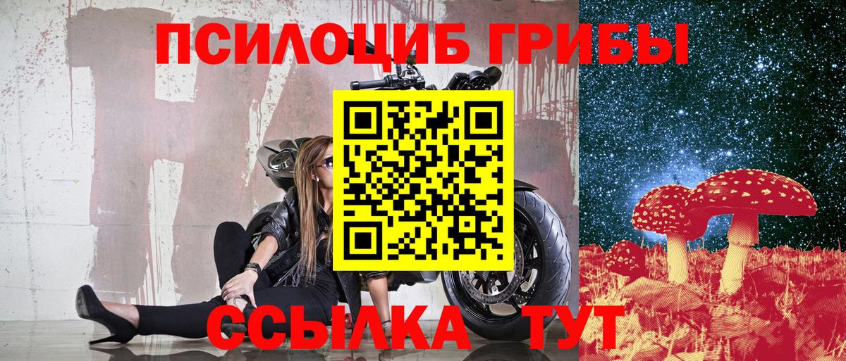 Галлюциногенные грибы Magic Shrooms  Вход с VPN  как найти закладки  Псилоцибиновые грибы ЛСД  Шадринск 
